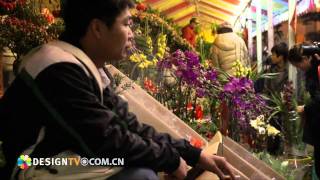 flower market guangzhou 20112 [upl. by Lancey524]