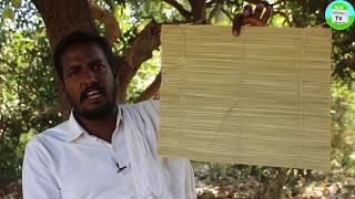 தர்ப்பைப் புல்லின் மகத்துவம்  தெப்ப புல் பாய்  Tharpai pul  Tharuppai pul  Darbha grass mat [upl. by Osner]