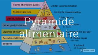 Résumé cours aliments nutriments biomolécules [upl. by Photina783]