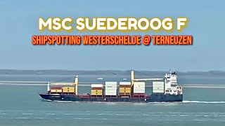 Shipspotting Westerschelde  Terneuzen  quotMSC Suederoog Fquot  19042023 [upl. by Ydasahc]