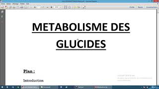 Métabolisme des glucides 1 [upl. by Shepard]