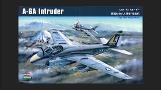 Hobbyboss 148 A6A Intruder Scale Model Review [upl. by Yelnahs]