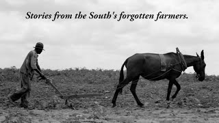 The Souths Forgotten Farmers  SHARECROP  Full Documentary [upl. by Medarda]