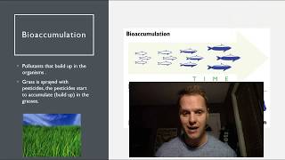 Pesticides Resistance Bioaccumulation Biomagnification G9 S [upl. by Nosyt]