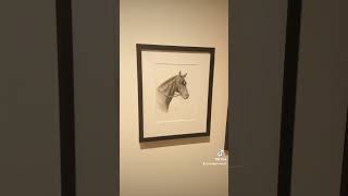 ruffian memorabilia Saratoga NY horse racing museum ruffiansaratogany saratogaracetrack horses [upl. by Rockwell871]