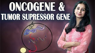 Protooncogene Oncogene and Tumor Suppressor Gene II Cancer Biology [upl. by Delphina595]