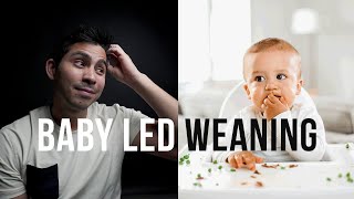 What is Baby Led Weaning – BLW vs Purées Explained [upl. by Desta611]