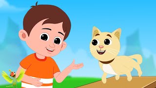 Meow Meow Billi Karti म्याऊं म्याऊं बिल्ली करती Nursery Rhymes for Kids and Children [upl. by Leahicm]