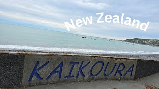 World Tour New Zealand S3  EP10 Day 18 [upl. by Ilrak597]