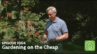 Growing a Greener World Episode 1004 Gardening on the Cheap [upl. by Ardnaskela]