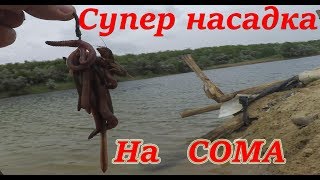 Насадка для ловли Сома Выползок с подсадкой Медведки Catfish [upl. by Buyer140]