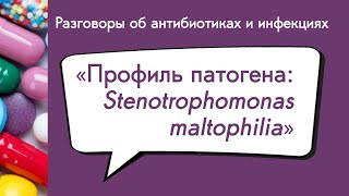 Вебинар «Профиль патогена Stenotrophomonas maltophilia» [upl. by Marjory]