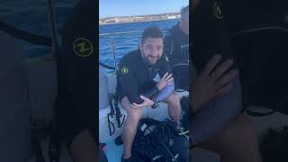 Dyk Cypern oktober 2024 Diving Cyprus [upl. by Ateloiv]