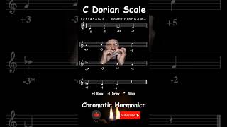 C Dorian Scale  Jazz Chromatic Harmonica Tab [upl. by Rubliw87]