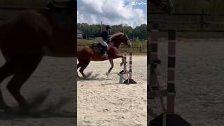 fail😭horse subscribe equestrain fail [upl. by Bohannon]