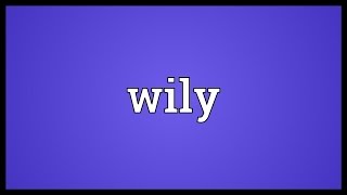 Wily Meaning [upl. by Novyad]