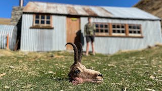 NZ Chamois Hunting [upl. by Behah]