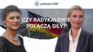 Czy skrajna prawica i skrajna lewica w Niemczech połączą siły Co łączy i co dzieli AfD i BSW [upl. by Sigrid579]