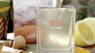 Top Fragrance Expert Reveals Truth About Hermes Terre dHermes Eau Givree [upl. by Kajdan216]