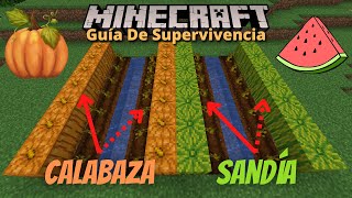 🌶️ Minecraft para PRINCIPIANTES 😍 Ep 143 granja de REMOLACHA MUY FÁCIL 😍 [upl. by Polito254]