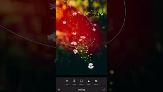 Masking in Lightroom  photography photography canonr8 photoediting [upl. by Oirasec]