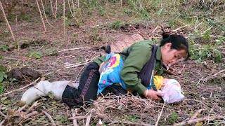 A single mother fell while harvesting tapeworms and designing a dining table  Hương Single Mon [upl. by Udela]