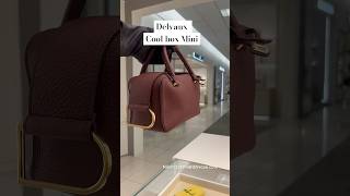 Boxy handbag Coolbox 🧡 delvaux luxe luxurybag bag designerbag fashion bagreview sanjose [upl. by Eidarb485]