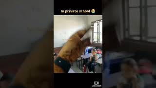 Private school vs Public school  just for fun😂 ytshorts funny comedy [upl. by Keiryt]