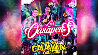 EL SON DEL CHINTETE  BANDA LOS OAXAPENS En Vivo Desde Calamanda Qro 2022 [upl. by Asirap]