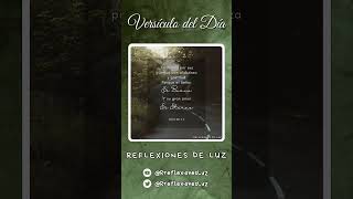 Salmos 100 4 5  Reflexiones De Luz versiculodeldia biblia dios shorts versiculobiblia jesus [upl. by Laud]