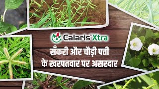 Calaris Xtra Educational Hindi [upl. by Analiese]