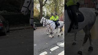 Horse police on duty in London horseguard horses horse [upl. by Eirene]