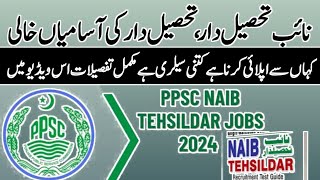 PPSC Naib Tehsildar and Assistant Jobs 2024  PPSC Advertisement Number 142024 [upl. by Harlie]