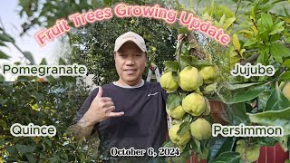 Fruit Trees Growing Update [upl. by Rodi]