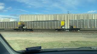 BNSF 8439 leads a Loaded Coal Train at Saginaw TX [upl. by Rehpotsrihc855]