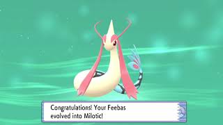 Pokemon BDSP Simple Guide for evolving Milotic via Beauty [upl. by Jillana]