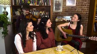 Hold on Honeys 2023 NPR Music Tiny Desk Contest Submission Maple Lane [upl. by Luciana456]