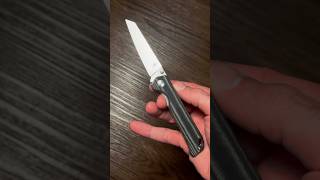 Kizer Begleiter Mini R Pocket Knife [upl. by Rennob655]