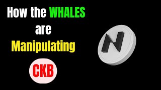 CKB How the Whales are Manipulating NERVOS NETWORK ckb [upl. by Adnahc131]