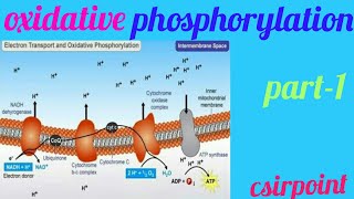 Introduction of Oxidative phosphorylation in hindi [upl. by Freudberg]