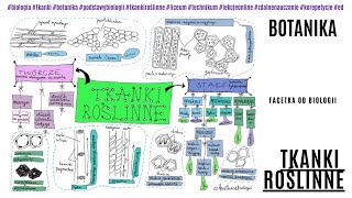 Tkanki roślinne  Budowa i funkcje tkanek roślinnych  Botanika  Darmowe korepetycje z biologii [upl. by Anivlek]