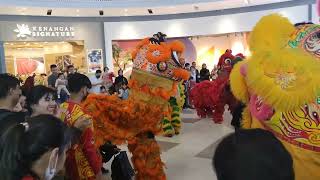 Barongsai di Summarecon Mall Bandung [upl. by Bevis19]