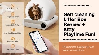 Temu SelfCleaning Cat Litter Box Review  Bonus Kitty Playtime Fun [upl. by Nadine834]