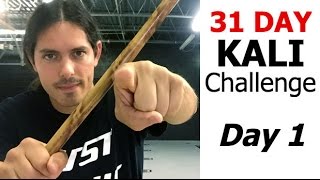 31 Day Martial Arts Challenge DAY 1  Kali Escrima Arnis [upl. by Packston]