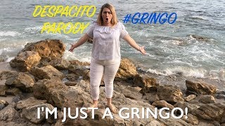 Despacito PARODY  Im Just a Gringo [upl. by Pirzada569]