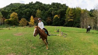 Aniwaniwa Riding our Kaimanawa Pony Bear  Wildwood New Zealand [upl. by Gonagle]