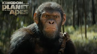 Kingdom of the Planet of the Apes  Exclusive Special Look  Experience It In IMAX® [upl. by Sorvats]