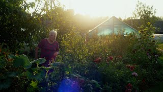 Kasdienės prasmės paieškos Balbieriškyje gera meistrauti „velnius“ ir senjorus džiuginti pietumis [upl. by Rhiana]