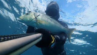 Ρηχό ψαροντούφεκο με κακό καιρό Shallow spearfishing in rough weather conditions [upl. by Wagstaff]