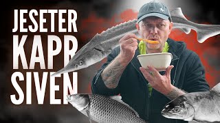 JESETER KAPR A SIVEN 🎣 Recept na mojí Bouillabaisse polévku ze 3 druhů ryb kterou zvládnete doma [upl. by Antipus]